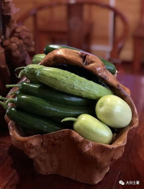 网红热点吃瓜,揭秘网络热点背后的真相与争议